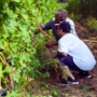 Dal filare al vino: l’inclusione lavorativa passa dalla vigna