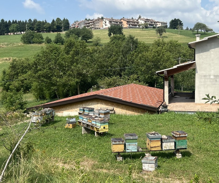 Il miele: l’oro di Cerro